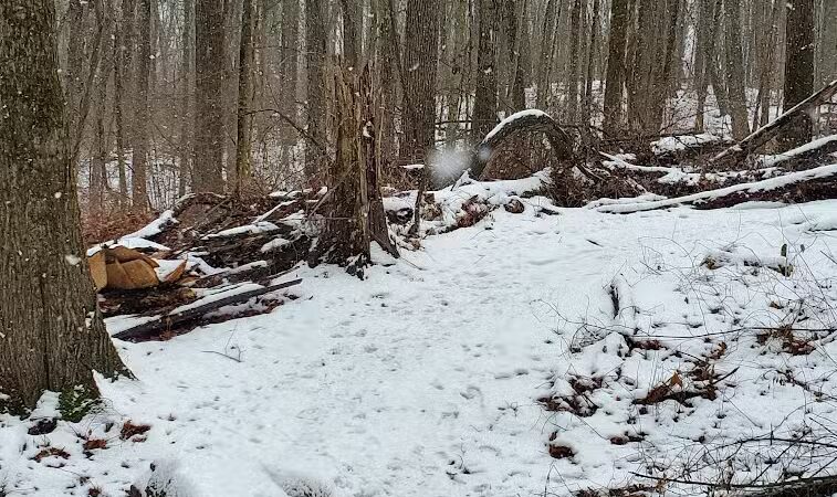 Barn Course Field Trial Grounds - Highland Township, MI