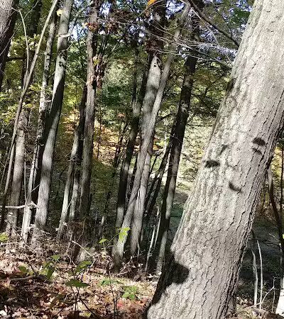 Barn Course Field Trial Grounds - Highland Township, MI