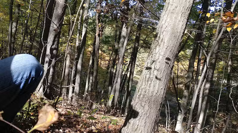 Barn Course Field Trial Grounds - Highland Township, MI