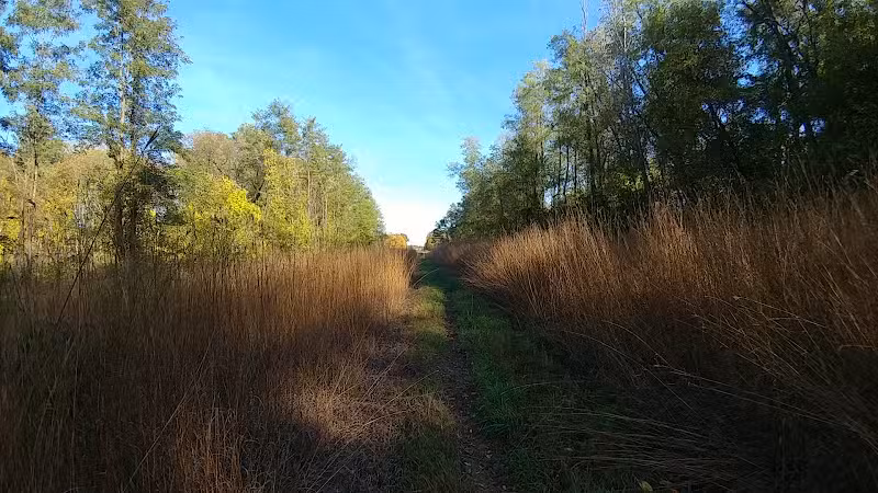Barn Course Field Trial Grounds - Highland Township, MI