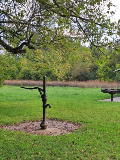 Sod Farm Field Trial Grounds - Highland Township, MI