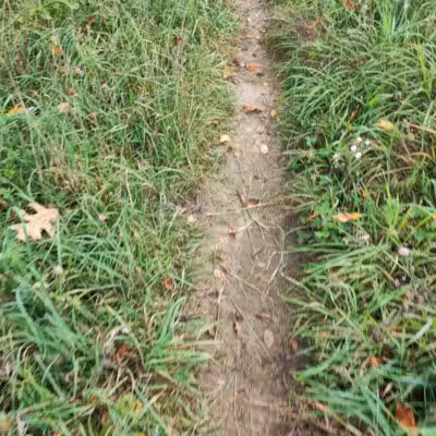 Sod Farm Field Trial Grounds - Highland Township, MI