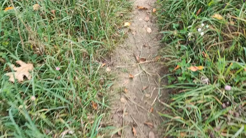 Sod Farm Field Trial Grounds - Highland Township, MI