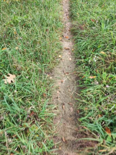 Sod Farm Field Trial Grounds - Highland Township, MI