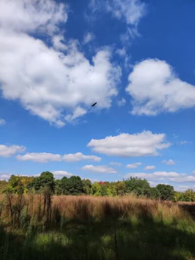 Sod Farm Field Trial Grounds - Highland Township, MI