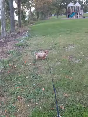 Calumet County Park - Hilbert, WI