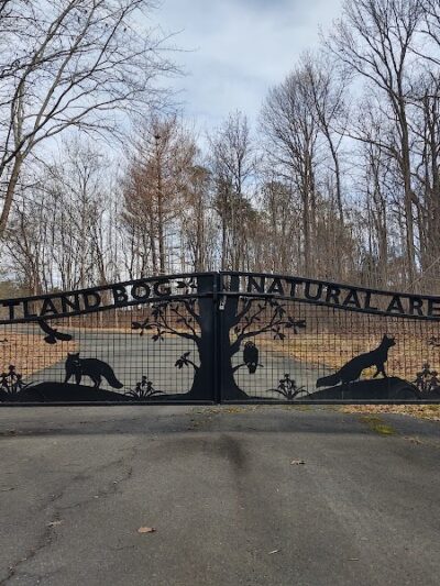 Suitland Bog Natural Area - Hillcrest Heights, MD
