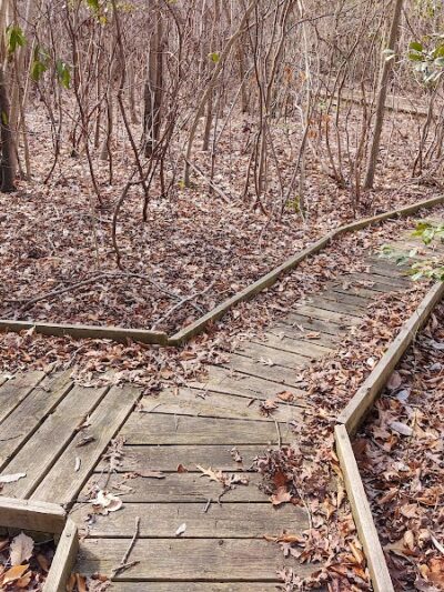Suitland Bog Natural Area - Hillcrest Heights, MD