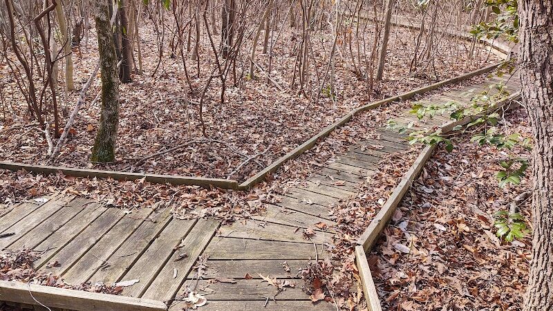 Suitland Bog Natural Area - Hillcrest Heights, MD