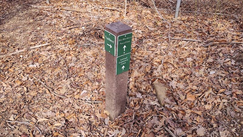 Suitland Bog Natural Area - Hillcrest Heights, MD