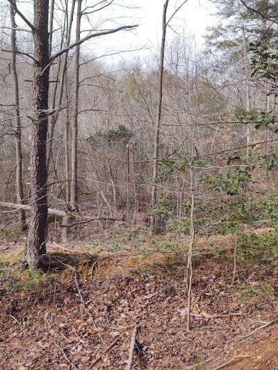 Suitland Bog Natural Area - Hillcrest Heights, MD