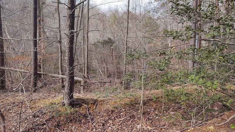 Suitland Bog Natural Area - Hillcrest Heights, MD