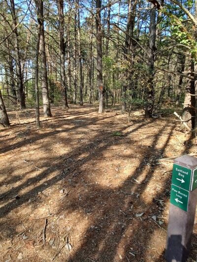 Suitland Bog Natural Area - Hillcrest Heights, MD