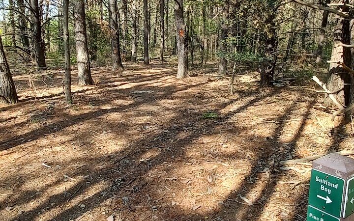 Suitland Bog Natural Area - Hillcrest Heights, MD