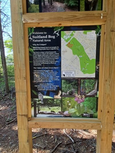Suitland Bog Natural Area - Hillcrest Heights, MD
