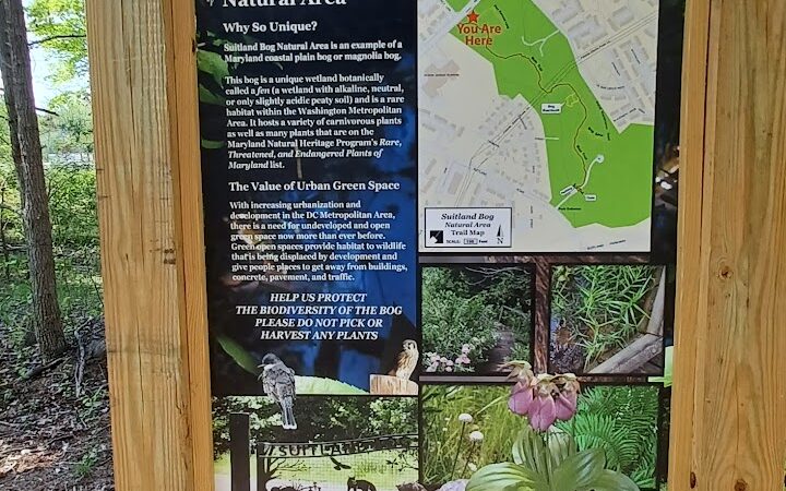Suitland Bog Natural Area - Hillcrest Heights, MD
