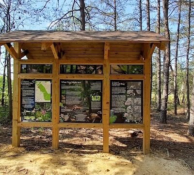 Suitland Bog Natural Area - Hillcrest Heights, MD