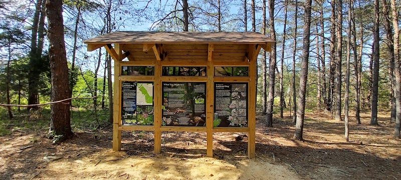 Suitland Bog Natural Area - Hillcrest Heights, MD