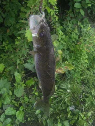 Emerick Park - Hillman, MI