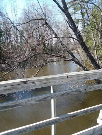 Tiger Paw Park - Hillman, MI