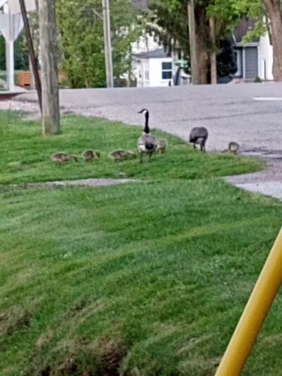 Cold Spring Park - Hillsdale,