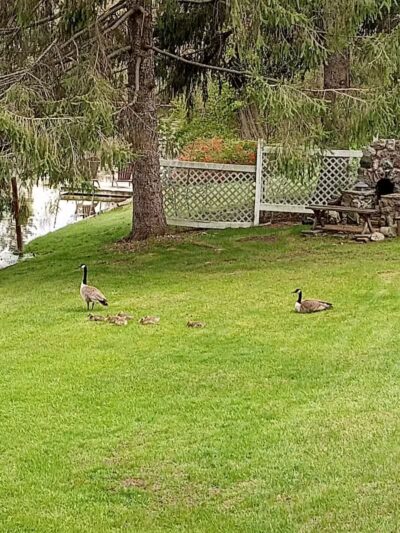 Cold Spring Park - Hillsdale,