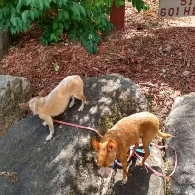Cold Spring Park - Hillsdale,