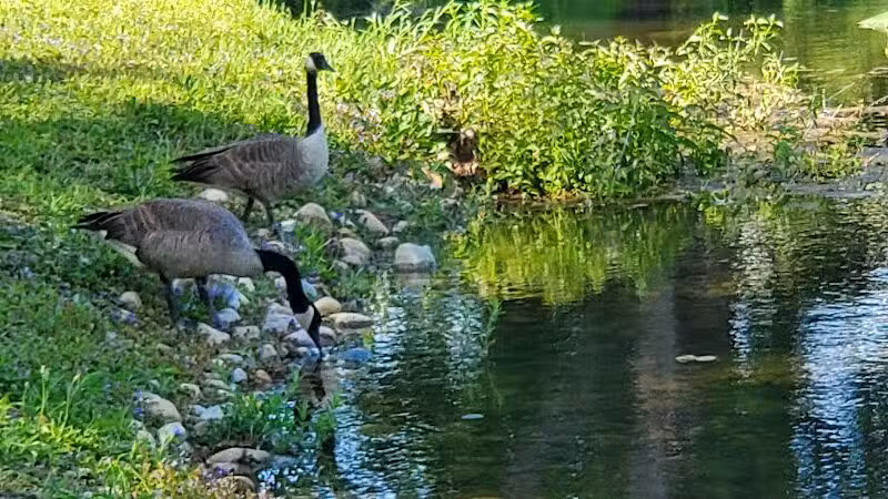 Lewis Emery County Park - Hillsdale,