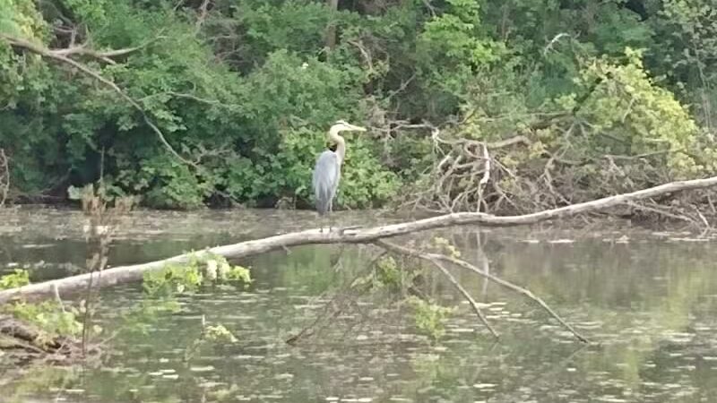 Lewis Emery County Park - Hillsdale,