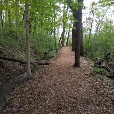 Lewis Emery County Park - Hillsdale,