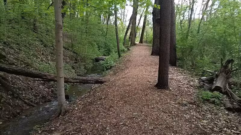 Lewis Emery County Park - Hillsdale,