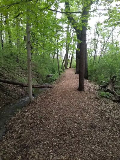 Lewis Emery County Park - Hillsdale,