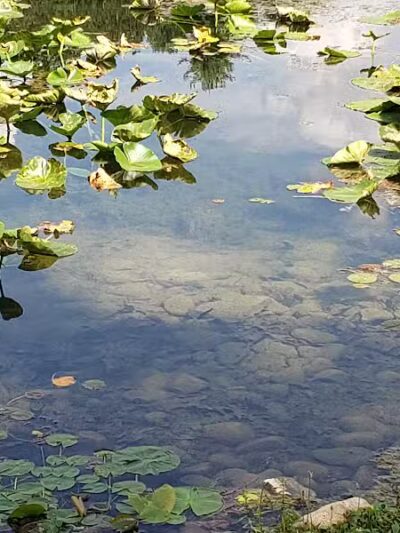Lewis Emery County Park - Hillsdale,