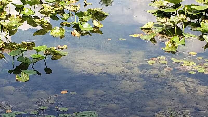 Lewis Emery County Park - Hillsdale,