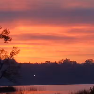 Owens Park - Hillsdale,