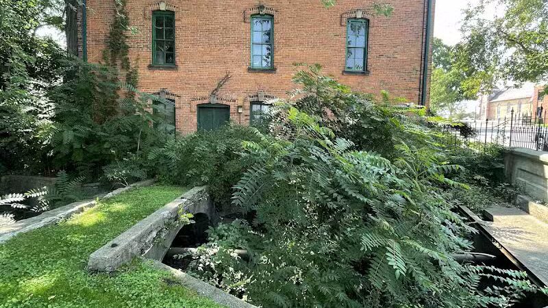 Stocks Park - Hillsdale,