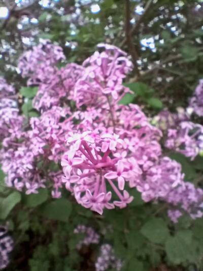 Stocks Park - Hillsdale,