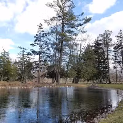 Stocks Park - Hillsdale,