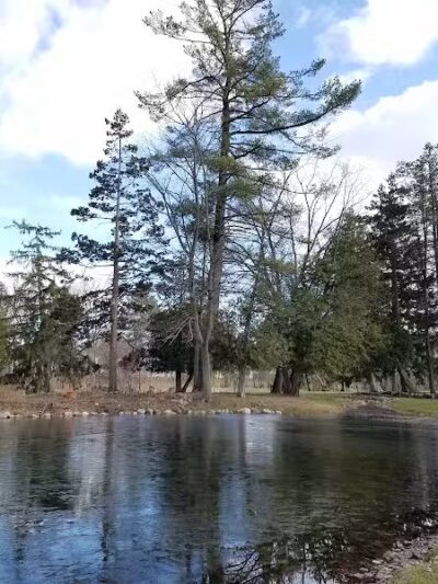 Stocks Park - Hillsdale,