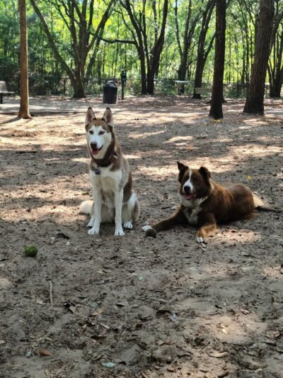 Chaplin Best Friends Dog Park - Hilton Head Island, SC