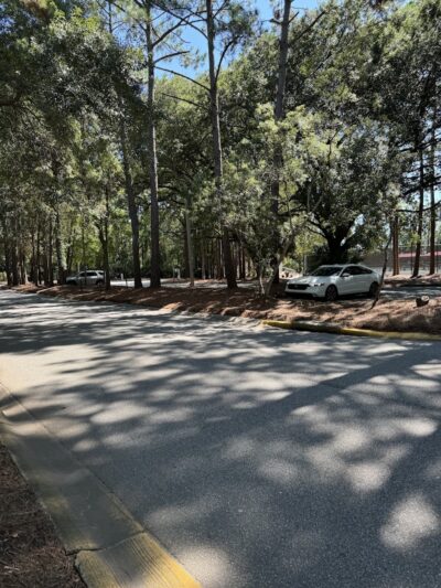 Chaplin Best Friends Dog Park - Hilton Head Island, SC