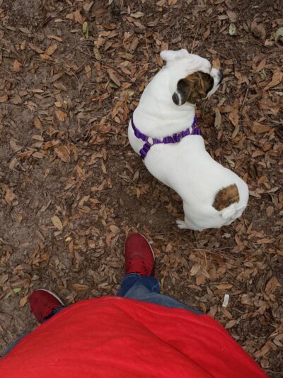 Chaplin Best Friends Dog Park - Hilton Head Island, SC