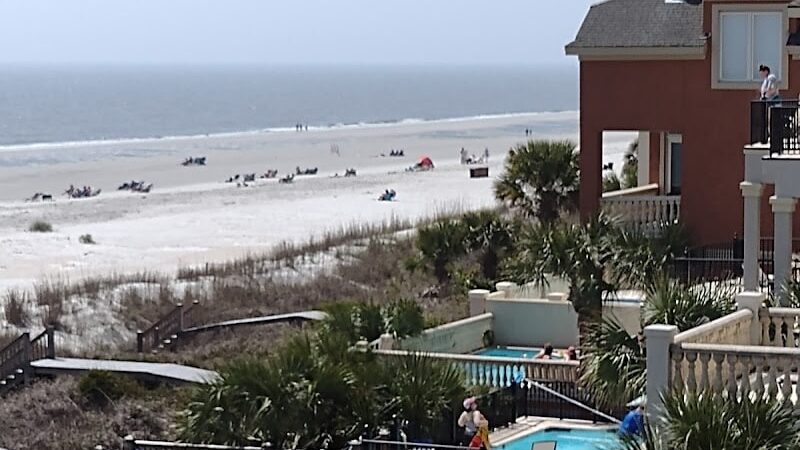 Chaplin Best Friends Dog Park - Hilton Head Island, SC