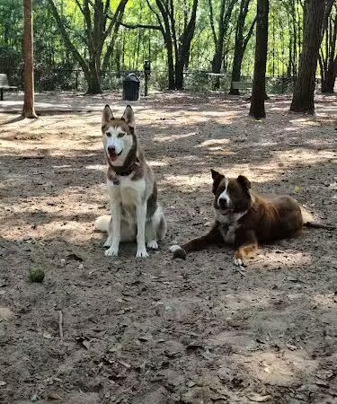 Chaplin Best Friends Dog Park - Hilton Head Island, SC
