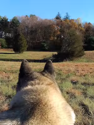 More-Brewer Park - Hingham, MA
