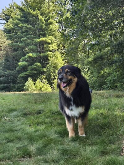 More-Brewer Park - Hingham, MA