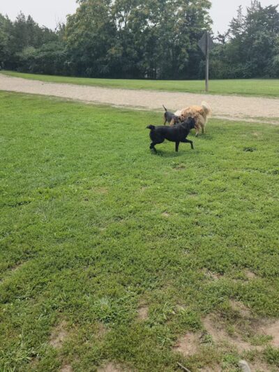 Stodder's Neck - Hingham, MA