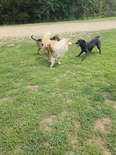 Stodder's Neck - Hingham, MA