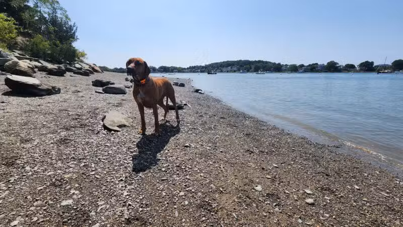 Stodder's Neck - Hingham, MA