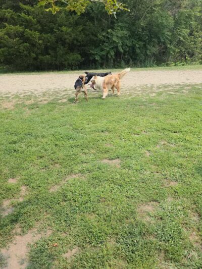 Stodder's Neck - Hingham, MA